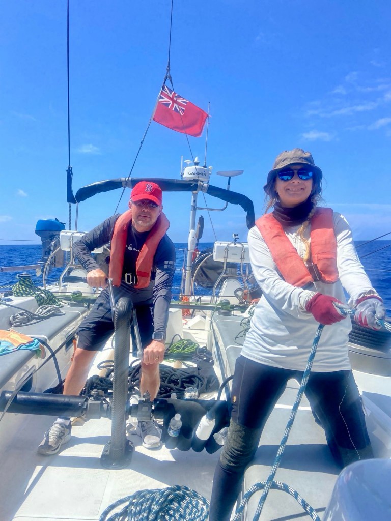 3f1fd090-e32d-46a4-b99d-3aa12d707484-1