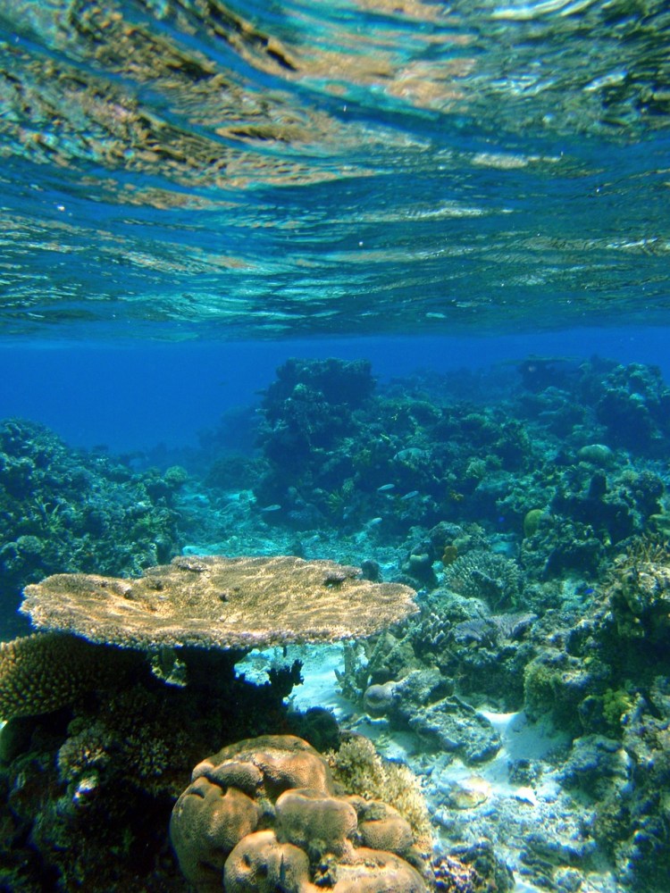 Sail from Fiji to Vanuatu – SAILING ROUND THE WORLD